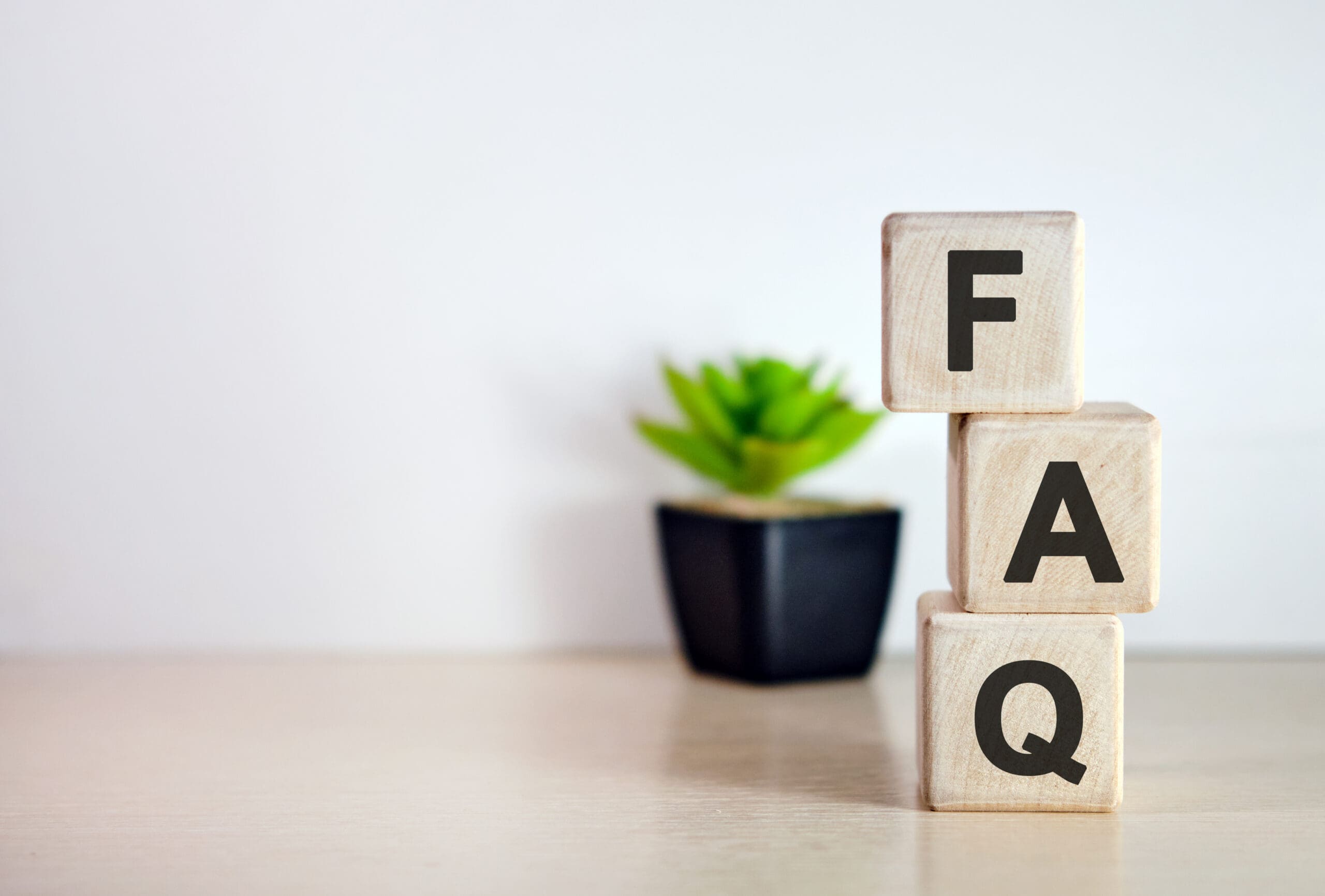 Three wooden blocks stacked vertically display the letters F, A, and Q. A small green potted plant sits in the background on a light-colored surface against a plain white wall.